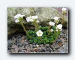 Klik for forst�rrelse